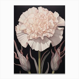 Flower Illustration Carnation Dianthus 3 Canvas Print