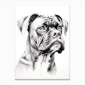 Boxer Dog, Line Drawing 8 Canvas Print