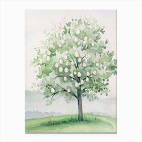 Pear Tree Atmospheric Watercolour Painting 1 Canvas Print