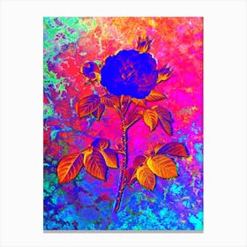 Rosa Alba Botanical in Acid Neon Pink Green and Blue Canvas Print