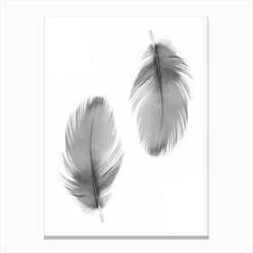 Double Feathers Canvas Print