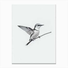 Lark B&W Pencil Drawing 3 Bird Canvas Print