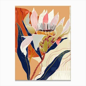 Colourful Flower Illustration Protea 2 Canvas Print