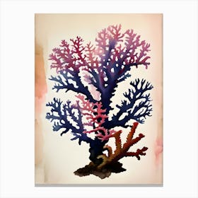 Acropora Nasuta Vintage Graphic Watercolour  Canvas Print