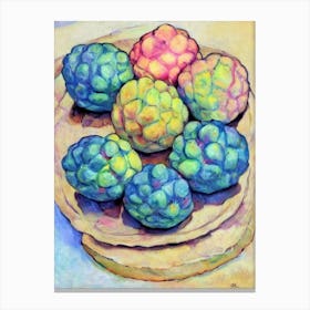 Custard Apple 1 Vintage Sketch Fruit Canvas Print