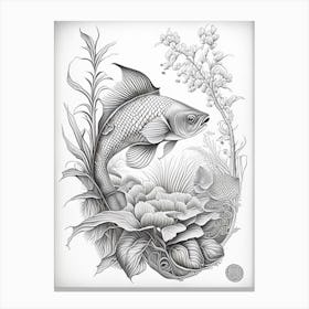 Chagoi Koi Fish Haeckel Style Illustastration Canvas Print