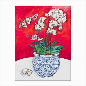 White Orchid In Chinoiserie Pot Canvas Print