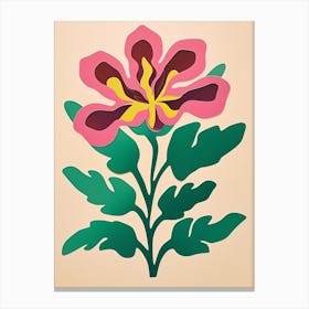 Cut Out Style Flower Art Kangaroo Paw 1 Canvas Print