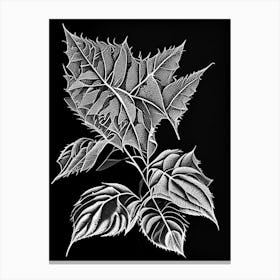 Pokeweed Leaf Linocut 1 Canvas Print