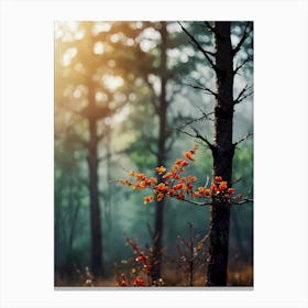 Autumn Trees In The Forest 1 Canvas Print