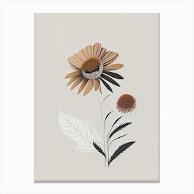 Echinacea Spices And Herbs Retro Minimal 3 Canvas Print