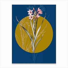 Vintage Botanical Sword Lily on Circle Yellow on Blue 1 Canvas Print