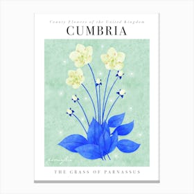 County Flower of Cumbria Grass Of Parnassus Canvas Print