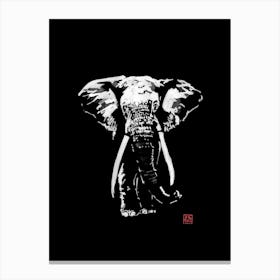 Elephant In Dark Canvas Print