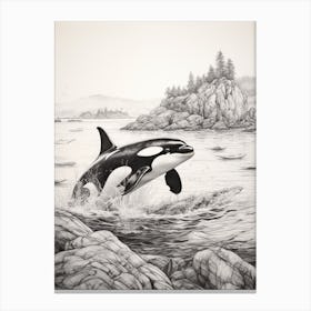 Rocky Pencil Line Drawing Of Orca Whale Canvas Print