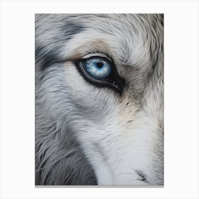 Tundra Wolf Eye 2 Canvas Print