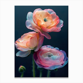 Anemones 1 Canvas Print