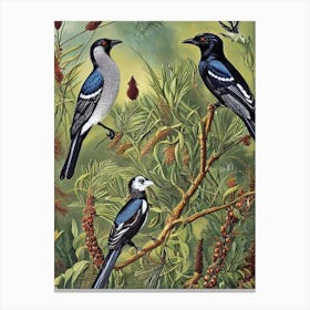 Magpie Haeckel Style Vintage Illustration Bird Canvas Print