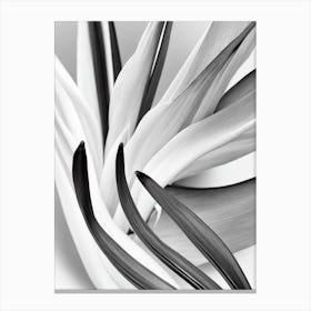 Bird Of Paradise B&W Pencil 4 Flower Canvas Print