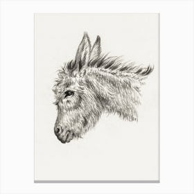 Head Of A Donkey (1818), Jean Bernard Canvas Print