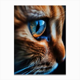 Eye Of A Cat Canvas Print