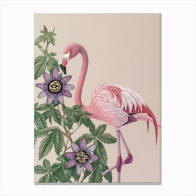 Andean Flamingo And Passionflowers Minimalist Illustration 4 Canvas Print