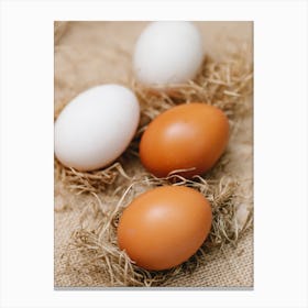 Eggs In A Nest Canvas Print