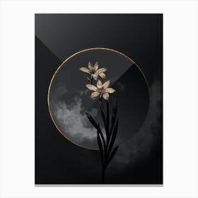 Shadowy Vintage Ixia Liliago Botanical in Black and Gold n.0050 Canvas Print