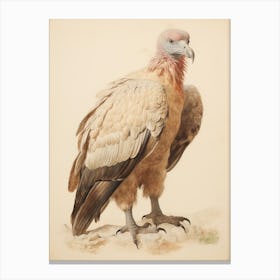Vintage Bird Drawing Vulture 3 Canvas Print