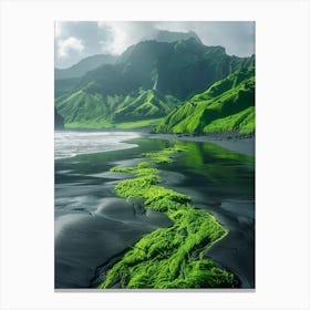 Black Sand Beach In Iceland Canvas Print