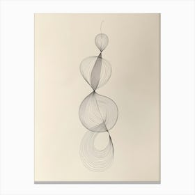 Spirals Canvas Print