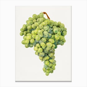 Green Grapes Canvas Print