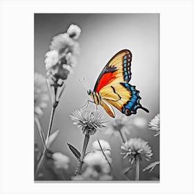 Butterfly In Black And White Canvas Print