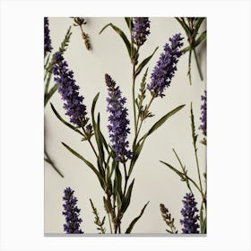 Lavender Flowers Canvas Print