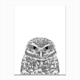 Owl Animal Print Canvas Print