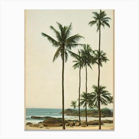 Palolem Beach Goa India Vintage Canvas Print