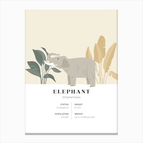 Elephant - Jungle Fact Canvas Print