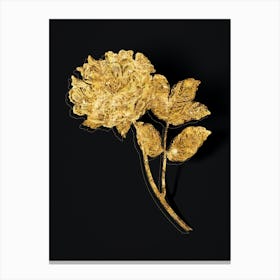 Vintage Tree Peony Botanical in Gold on Black n.0231 Canvas Print