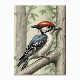 Woodpecker 3 Canvas Print