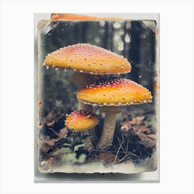 Mushrooms Retro Photo Inspired 4 Canvas Print
