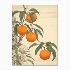 Tachibana Mandarin Orange 22 Vintage Japanese Botanical Canvas Print