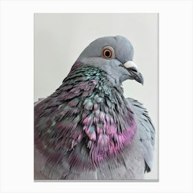 Pigeon 1 Canvas Print