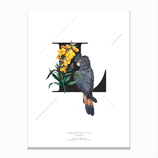 Botanical Alphabet L Canvas Print