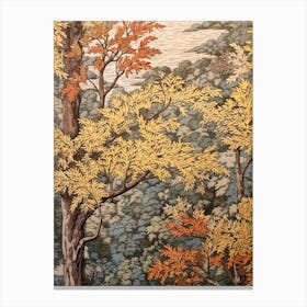 Slippery Elm 2 Vintage Autumn Tree Print  Canvas Print