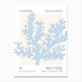 H Matisse 58 Canvas Print