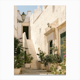 Cactus and plants in typical Italian alley | Puglia | Ostuni | Italy Canvas Print