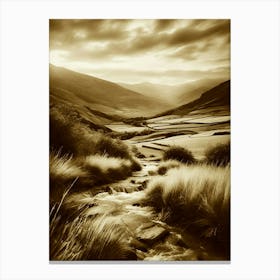 Sepia 13 Canvas Print