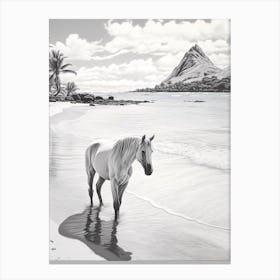 A Horse Oil Painting In Lanikai Beach Hawaii, Usa, Portrait 3 Canvas Print