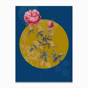 Vintage Botanical Pink Autumn China Rose on Circle Yellow on Blue n.0238 Canvas Print