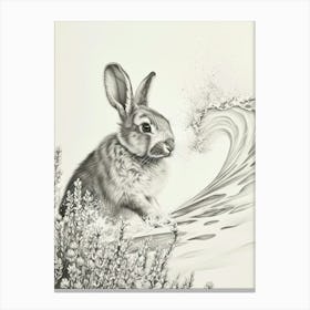 Holland Lop Rabbit Drawing 4 Canvas Print
